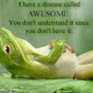 Meet your Posher, Susan